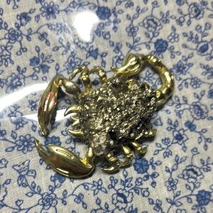 Pyrite scorpion